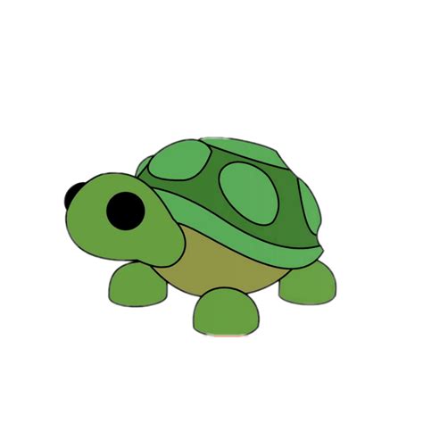 Freetoedit Adoptme Turtle Pets Drawing Sticker By Soniafr1