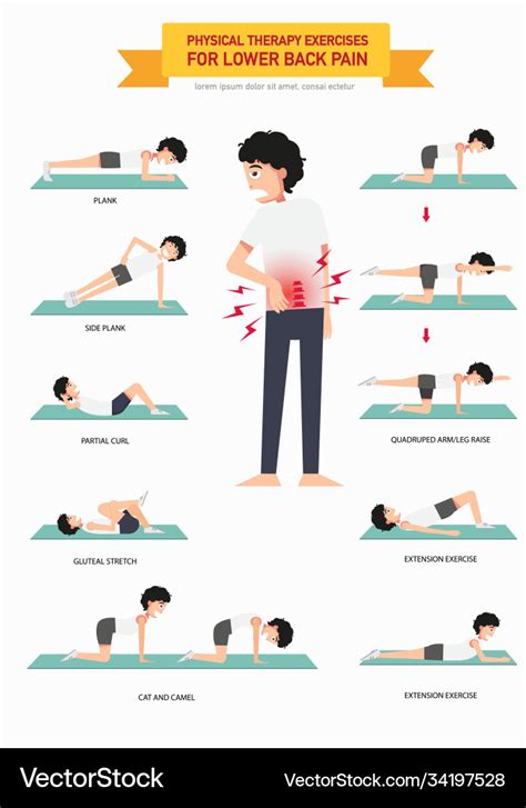 Physical Therapy Exercises For Lower Back Pain Vector Image