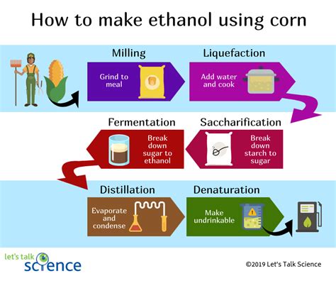How Is Ethanol Made Lets Talk Science