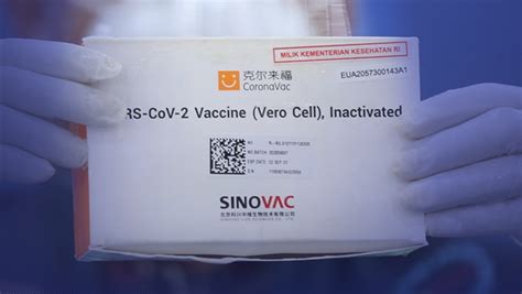 It was phase iii clinical trialled in brazil, chile, indonesia, the philippines. Sinovac's 50 percent efficacy is "good enough", vaccine ...