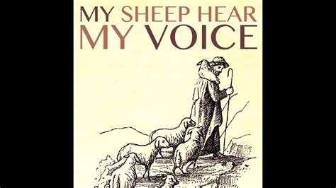 My Sheep Hear My Voice Youtube