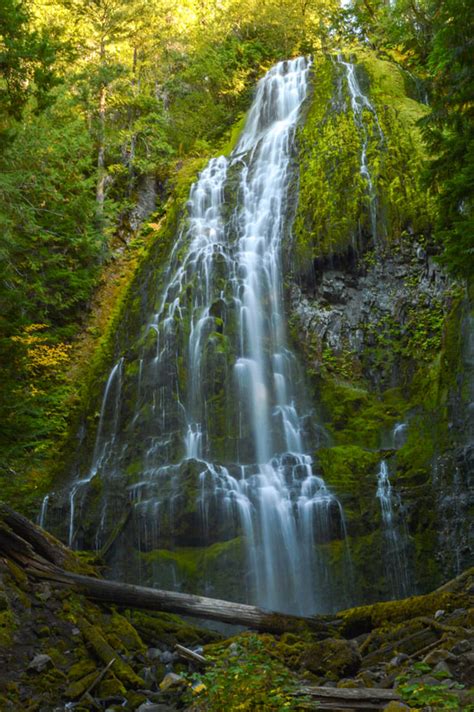 Proxy Falls Hike Oregon
