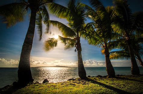 Картинка Samoa Природа Пальмы Тропики Побережье