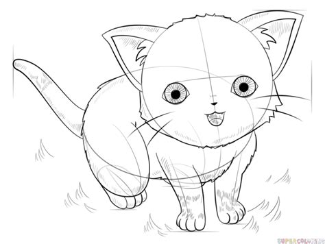 How to draw an anime head drawingforall net this tutorial explains how to draw an anime boy's head and face step by step from the front and side views. How to draw an anime cat | Step by step Drawing tutorials