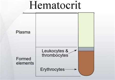 Hematocrit Levels In Blood Normal Low High Inside The Clinic