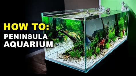 Aquascape Tutorial 4ft Peninsula Asian Fish Aquarium Planted Tank