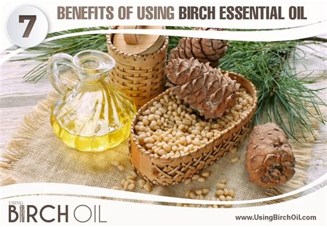 Using Birch Oil 7 Benefits Of Using Birch Essential Oil