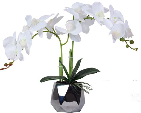 Amazon de W W künstliche orchideen im topf wie echt künstliche