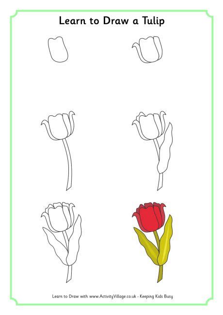 How to draw flowers for beginners step by step. Learn to Draw a Tulip