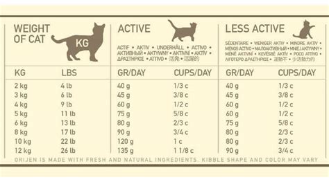 Check spelling or type a new query. 13 Facts On How Much Wet And Dry Food To Feed A Cat