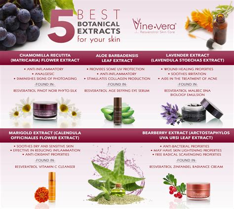 Botanical Skin Care Ingredients Vine Vera Blog