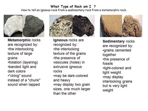 Rocks Types Igneous Sedimentary And Metamorphic Rocks