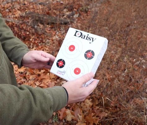 DAISY Fold Fire Freestanding BB Gun Target Daisy