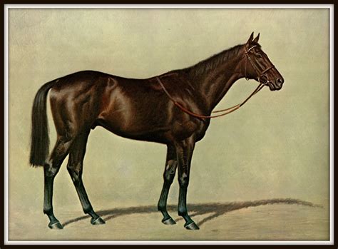 Ile De Bourbon Painted By Richard Stone Reeves Race Horses Etsy