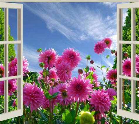Flowers Through Window Beautiful Morning Images Have A Beautiful Day