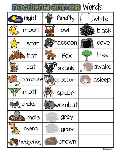 Nocturnal Animals Vocabulary Words List Free Nocturnal Animals