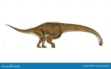 Giraffatitan Dinosaur Drinking 3d Render Stock Illustration