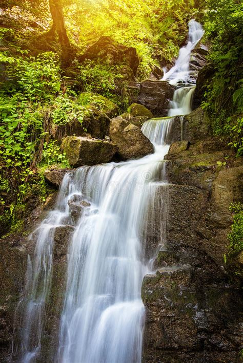 Forest Stream Waterfall Stock Image Image Of Mountain 92860731