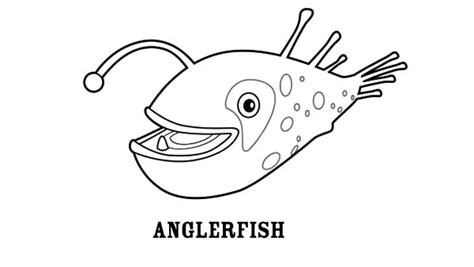 Pin On Angler Fish Coloring Pages