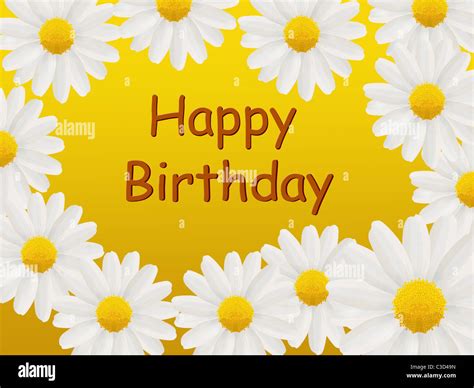Birthday Card With White Daisies On A Yellow Background Stock Photo Alamy