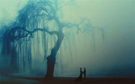 Weeping Willow Wallpapers Top Free Weeping Willow Backgrounds