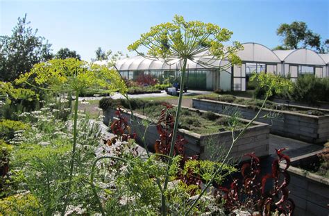 Jekkas Herb Farm Herbs Open Days Private Tours And Master Classes