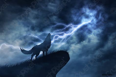 Wolf In Silhouette To Thunderstorm Stock Photo 2041445 Crushpixel