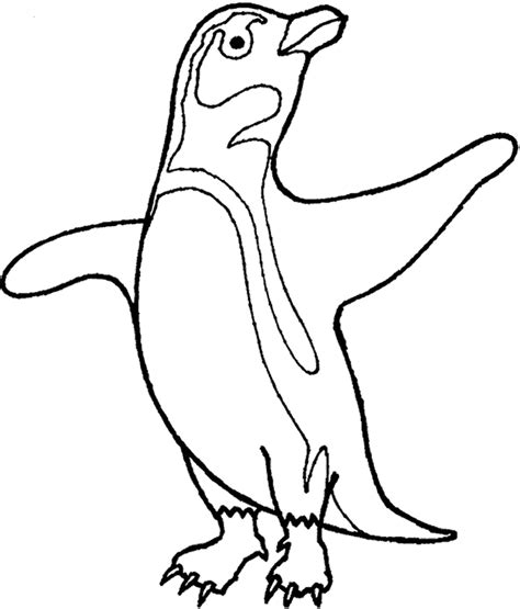 Antarctic Animals Coloring Pages Coloring Home