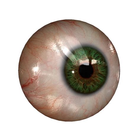 Real Eye Png File Png Mart
