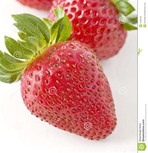 Fresh Strawberries Closeup Stock Photo Image Of Organic 11039726