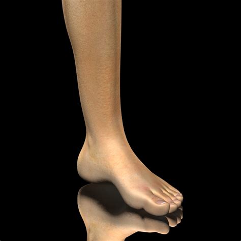 Realistic Female Leg 3d Model