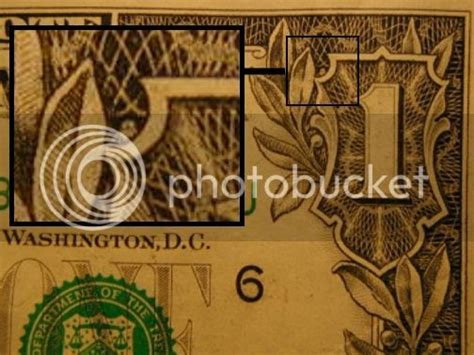 American 1 Dollar Bill Spider