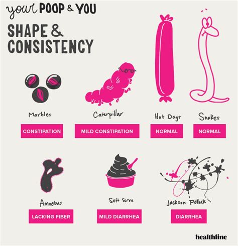Poop 5 Things To Look For Normal Vs Warning Signs Charlotte