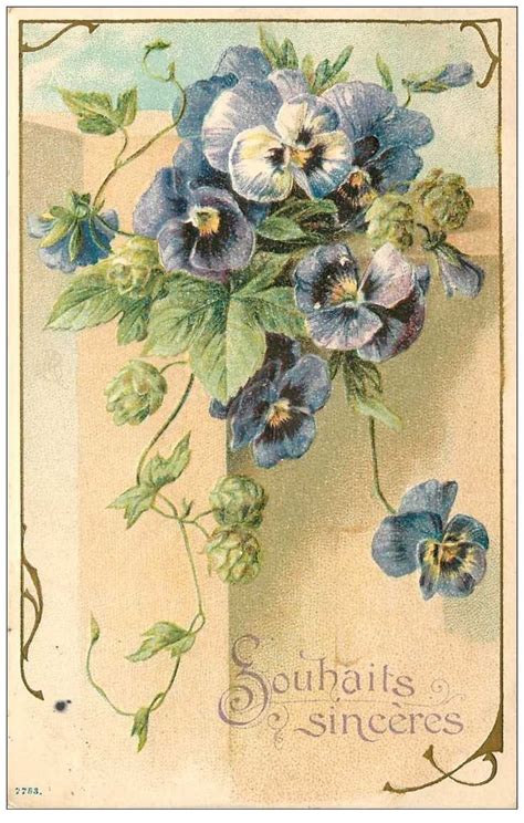 Fleurs Bouquet De Violettes Pour Boulogne 1907