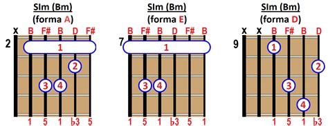 Acorde Si En Guitarra Cómo Construirlo Y Tocarlo