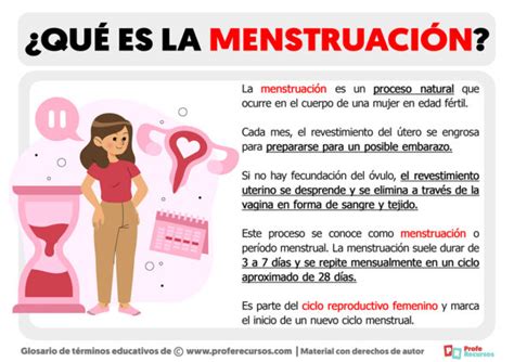 Qué Es La Menstruación Definición De Menstruación