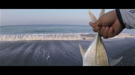 Pesca De Jurel Toro En Playas De Barrio Nuevo 🎣🐟 Youtube