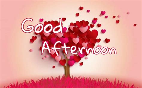 50 Good Afternoon Sms Wishes Messages With Images List Bark