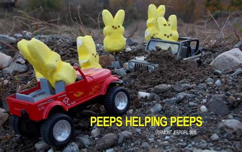 Pin By Tray ~ On Peeps Jeep Memes Jeep Jeep Humor