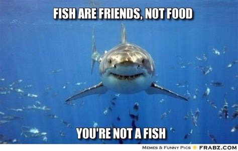 Fish Are Friends Not Food Funny Fishing Memes Fish Memes Fish