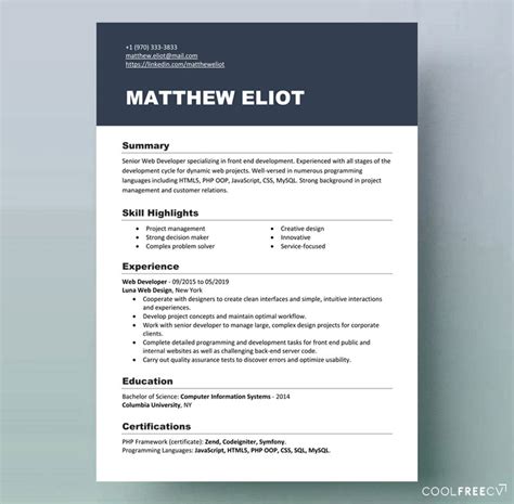Resume Templates Examples Free Word Doc Resume Template Examples