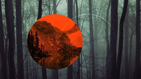 4588641 Nature Dark Trees Polyscape Digital Art Circle Forest