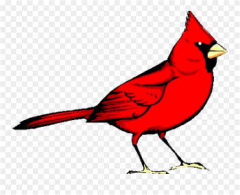 Cardinal Png 20 Free Cliparts Download Images On Clipground 2024