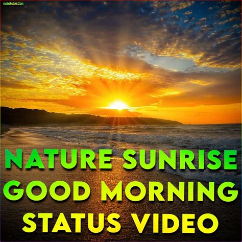 Best Nature Sunrise Good Morning Whatsapp Status Video Hd