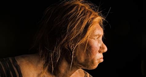 Interbreeding Between Humans And Neanderthals Was Quite Common Back In