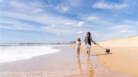 Calling For North Shore Visitors To Have Your Say Sunshine Coast Magazine
