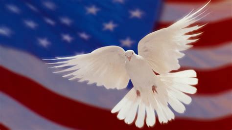 American flag black and white vine. American Flag And White Dove Of Peace Hd Wallpapers For ...
