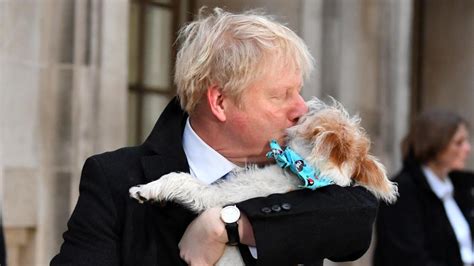 Prime minister of the united kingdom and leader of the conservative party. Boris Johnson vote puis pose avec son chien - Le Soir