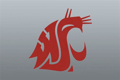 Wsu Launches Cougar Cage Funding Program Wsu Insider Washington