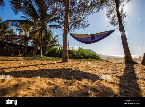 Incre Ble Escena Del Sur De La India Hamaca Entre Palmeras En La Playa Rayos De Sol Gente Y